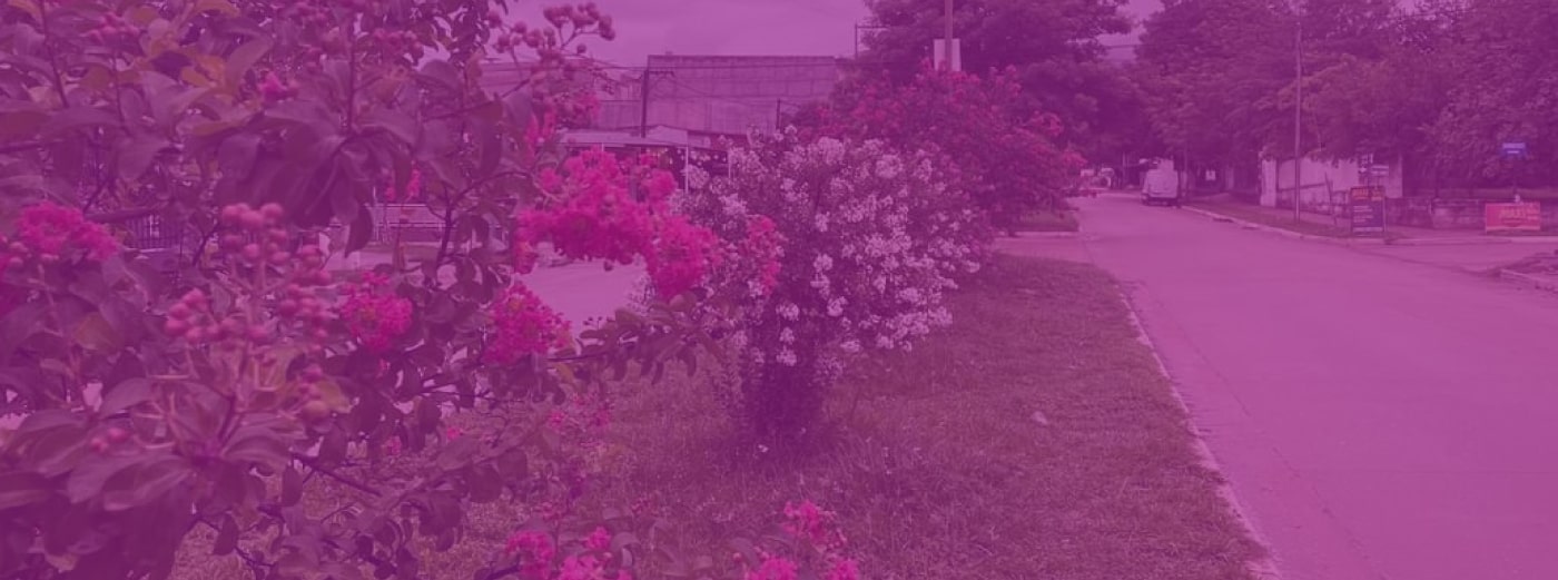 Terminal de Salvador Mazza