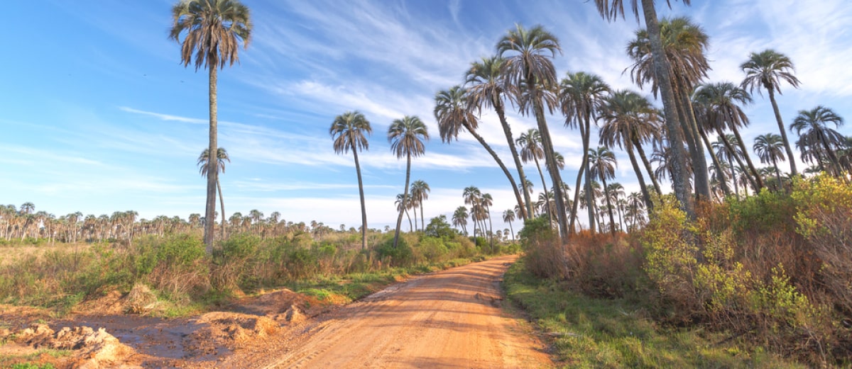 Pasajes en micro a Entre Ríos